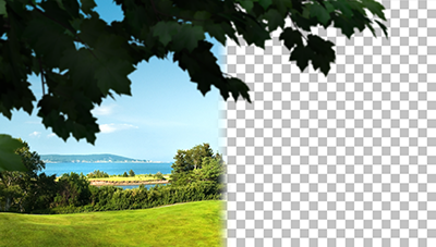 AREA 6 Foreground Foliage Framing Plates AREA 6 Foreground Foliage Framing Plates